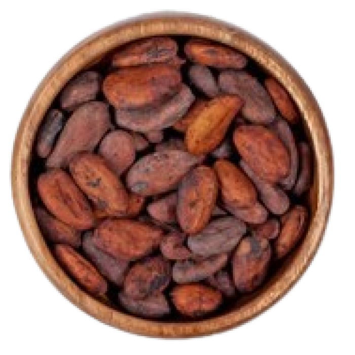 broken-bar-milk-chocolate-cocoa-pod-cocoa-beans-light-wooden-background-top-view_400823-101-removebg-preview (1) broken-bar-milk-chocolate-cocoa-pod-cocoa-beans-light-wooden-background-top-view_400823-101-removebg-preview (1)